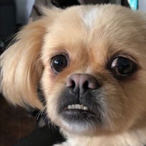 Meet your Posher, Terri